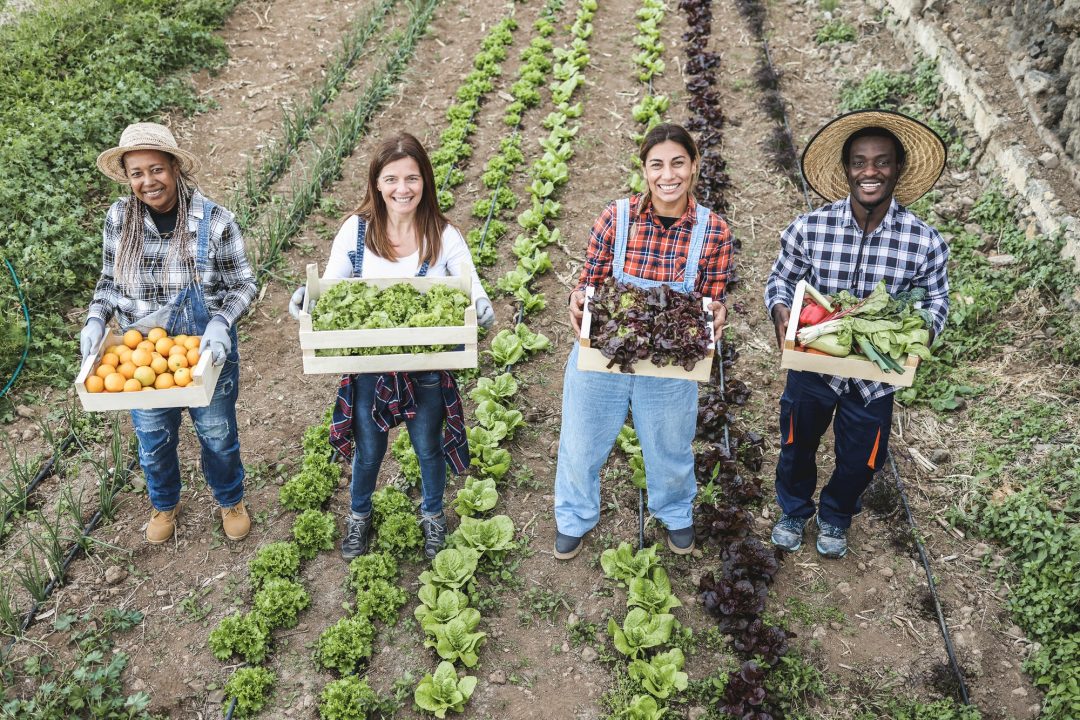 Farm Tour